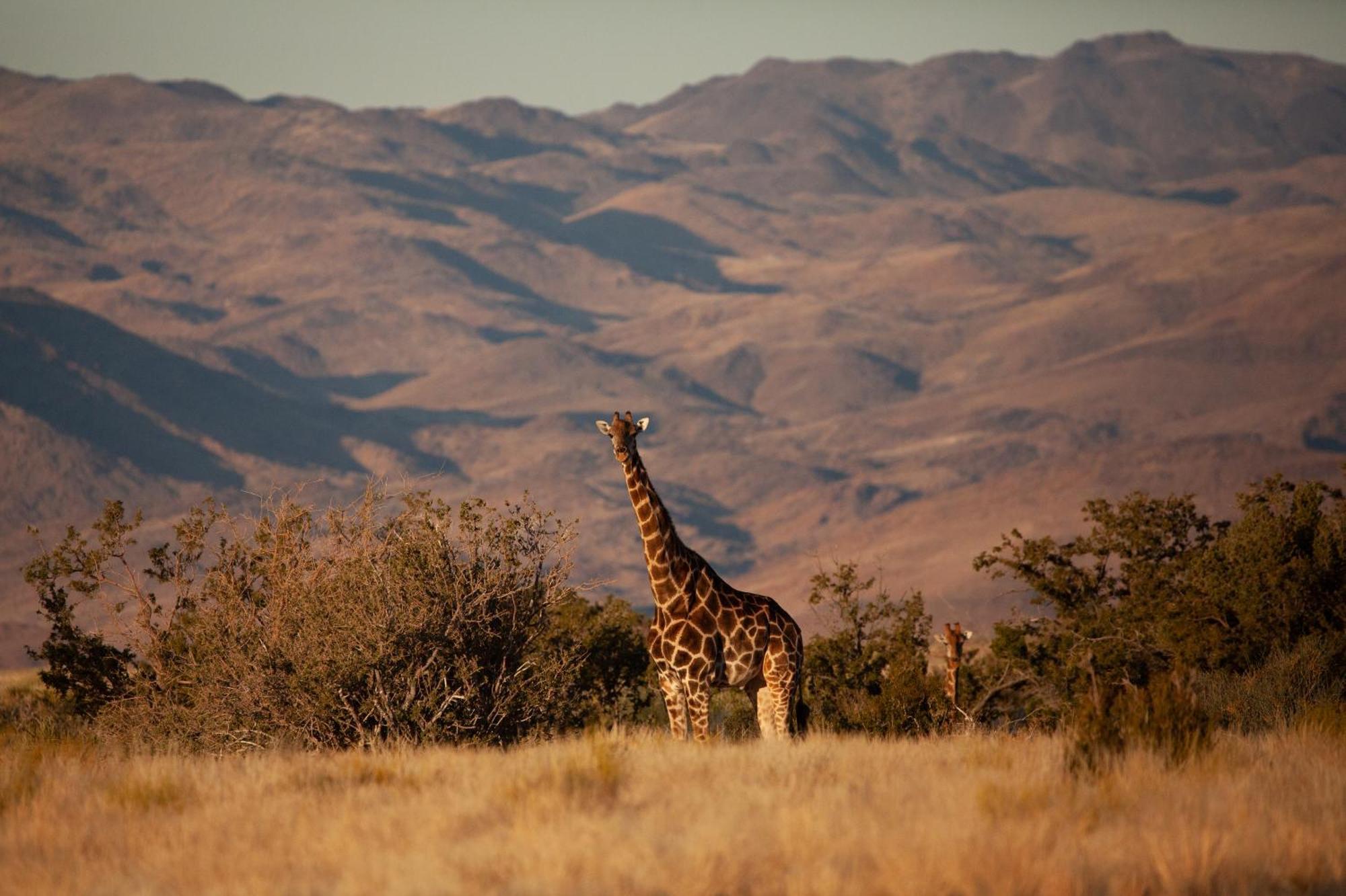 Sandfontein Lodge & Nature Reserve 외부 사진