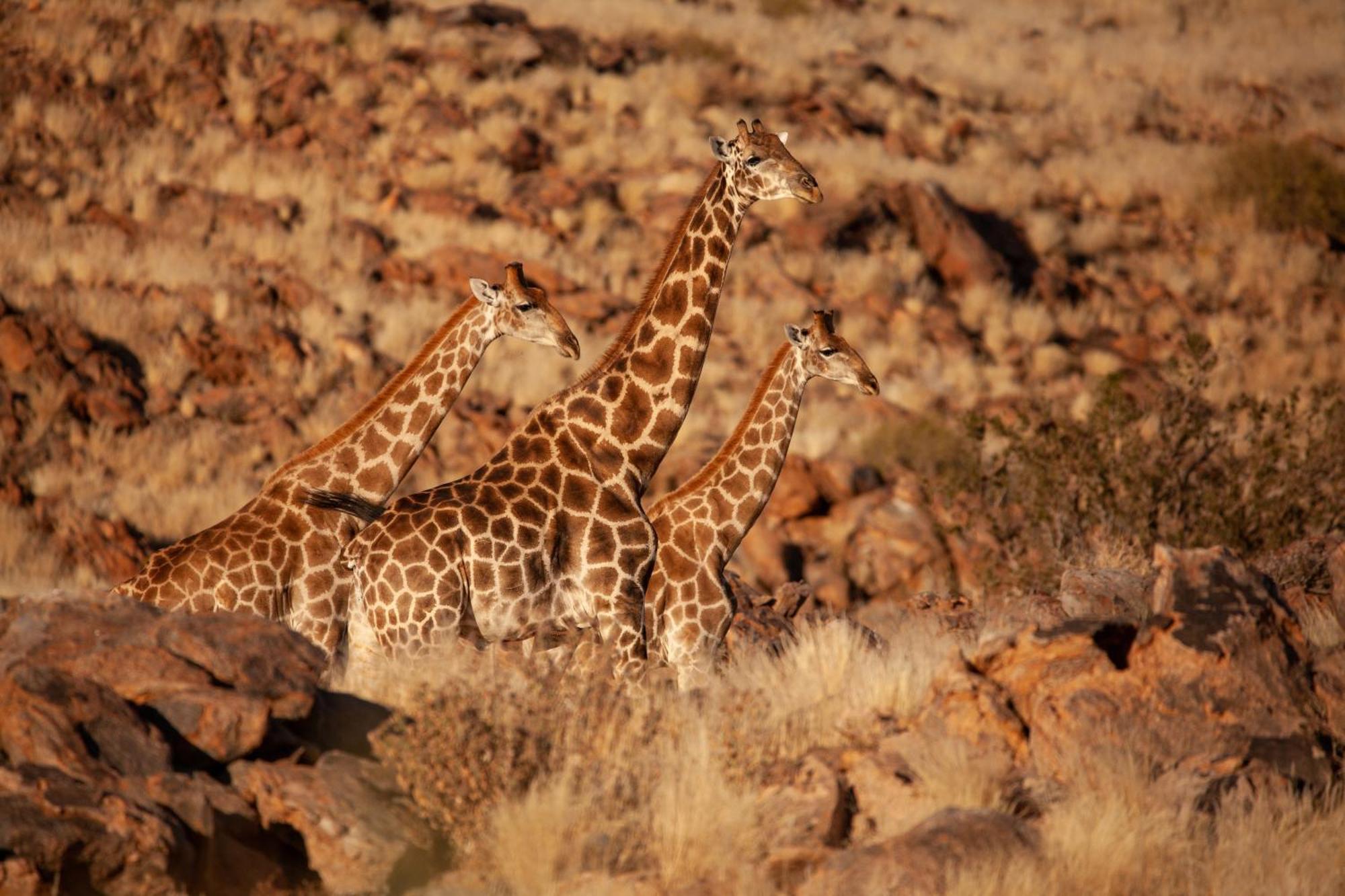 Sandfontein Lodge & Nature Reserve 외부 사진