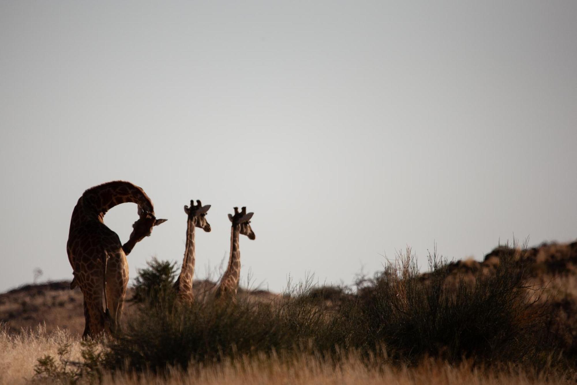 Sandfontein Lodge & Nature Reserve 외부 사진