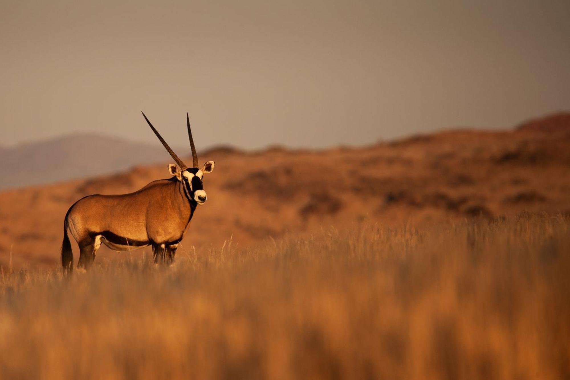 Sandfontein Lodge & Nature Reserve 외부 사진